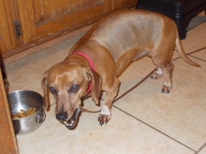 Ludwig has breakfast